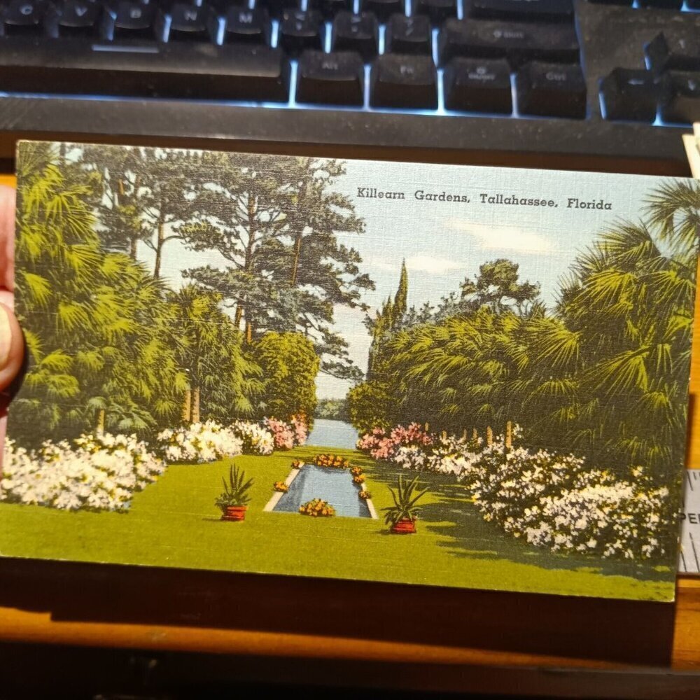 Killearn Gardens Tallahassee Florida Vintage Postcard